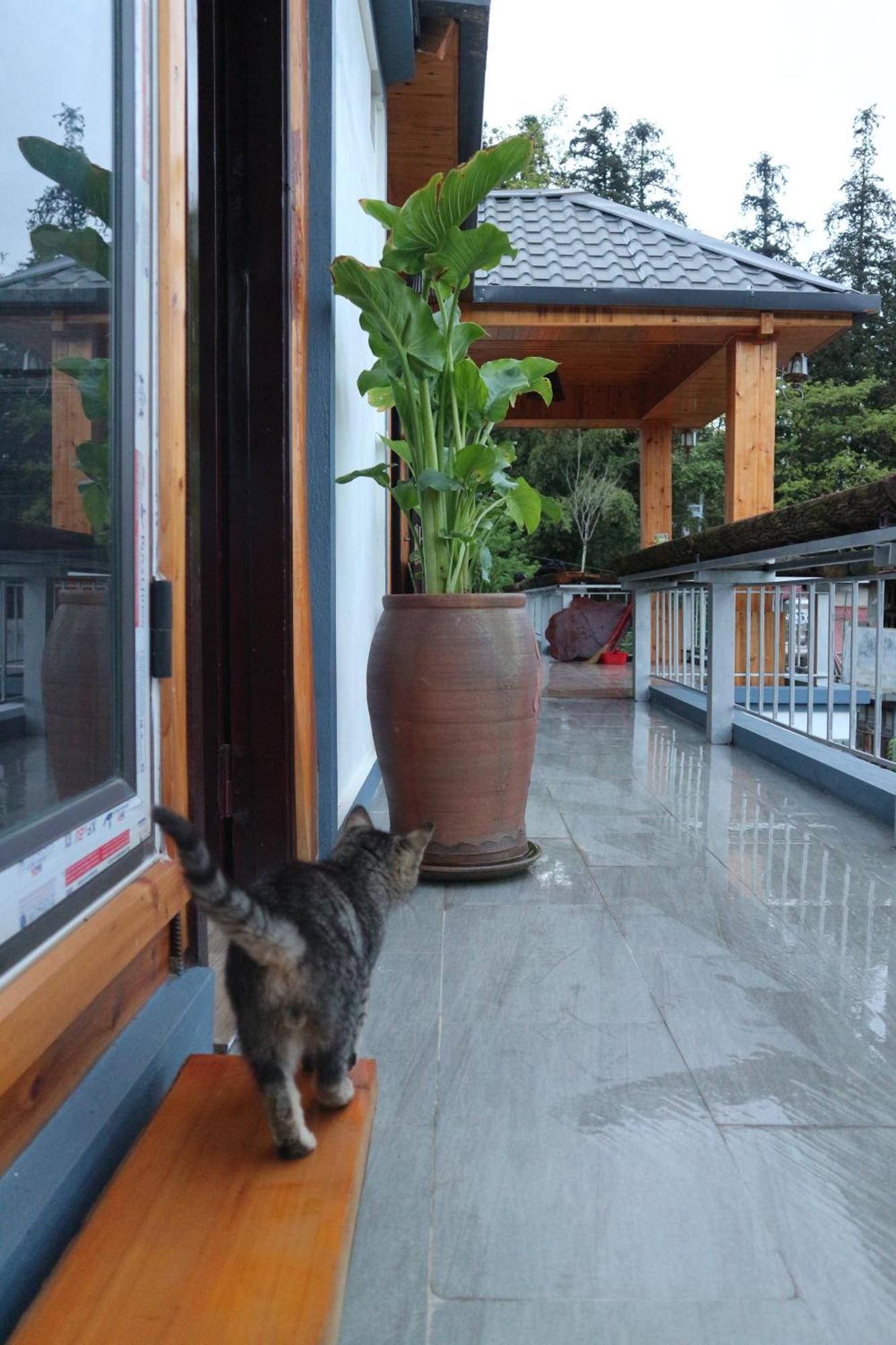 Mây Núi Homestay Sapa Exterior foto