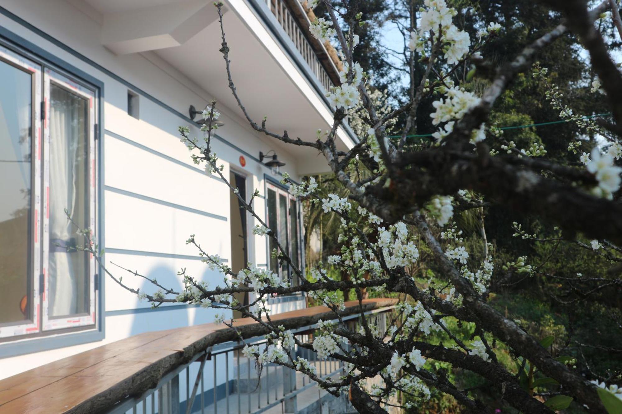 Mây Núi Homestay Sapa Exterior foto